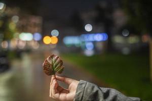 en hand innehar ett höst blad mot de bakgrund av bokeh stad lampor. natt urban landskap, färgad lampor reflekterad i de våt asfalt. de lampor av en regnig natt i de höst stad foto