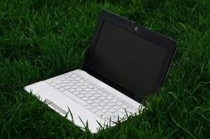 bärbar dator på grön gräs foto