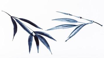 bambu kvistar dragen förbi svart akvareller foto