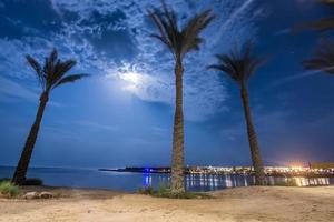 ljus måne med moln på de strand med handflatan träd i egypten foto