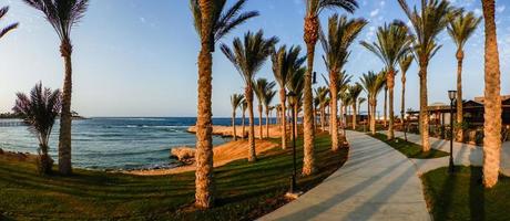 Fantastisk strand med gräs handflatan träd och en väg till promenad in i de solnedgång på semester i egypten panorama foto