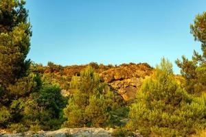 berg se omgiven förbi träd mot en klar blå himmel foto