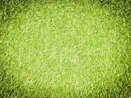 modern grön gräsmatta textur bakgrund. tapet för arbete och design. foto