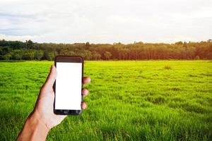 Asien man hand innehav svart smartphone med tom skärm Bakom av grön fält, träd och blå himmel bakgrund. Plats för text eller design foto