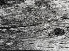 trä- textur använda sig av som naturlig bakgrund foto