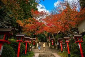kurama, kyoto prefektur, kansai, japan - november 21, 2019 - turister besök till ser höst scen av kurama-dera, en tempel belägen på de bas av montera kurama i de långt norr av kyoto foto