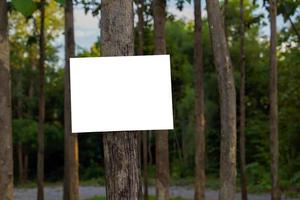 vit lägga märke till styrelse, offentlig relationer tecken, kampanj tecken fastnat på en träd i de skog parkera. mjuk och selektiv fokus. foto