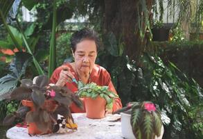Lycklig och friska asiatisk senior kvinna Sammanträde på vit tabell utomhus- tar vård av växter. foto