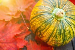 naturlig höst falla se pumpa och lönn löv på trä- bakgrund. inspirera oktober eller september tapet. förändra av årstider, mogen organisk mat begrepp. halloween fest tacksägelse dag. foto