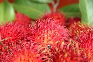 rambutan frukt på trä- tabell. tropisk frukt för drycker och drycker foto