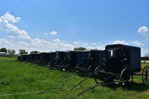 fält fylld med amish barnvagnar parkerad i Lancaster grevskap foto