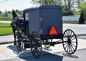 häst dragen vagn parkerad utanför en Lagra i Pennsylvania foto