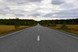 en hög hastighet asfalt väg i höst och en skön skog med en fält. motorväg i de höst skog. foto