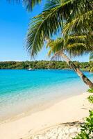skön tropisk strand som sommar marinmålning med bergen och blå himmel för resa i Semester koppla av tid foto