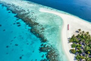 Fantastisk lugn hav sand himmel. rekreations sommar resa turism. antenn landskap se med stolar och paraplyer på paradis ö strand, havet. tillflykt semester, exotisk natur. skön tropikerna foto