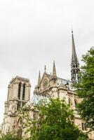 notre dame se foto