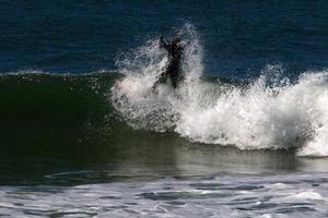 surfing på hög vågor på de medelhavs hav i nordlig israel. foto