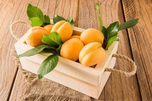 en trä- låda full av mogen aprikoser på en rustik tabell. de begrepp av säsong- födelse. lantbruk. jordbruk. foto