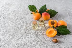 flaskor av aprikos kärna olja med mogen frukt och en grå cement bakgrund. en kopia av de Plats. organisk hud vård. foto