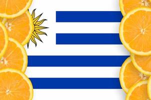 uruguay flagga i citrus- frukt skivor vertikal ram foto