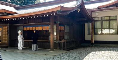 japan på april 2019. turister från Asien, Indien, Amerika och Europa är besöker meiji tempel. foto