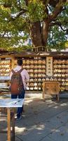 japan på april 2019. turister från Asien, Indien, Amerika och Europa är besöker meiji tempel. foto