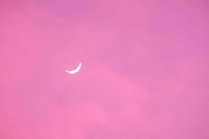 halv måne i de morgon- på rosa himmel foto