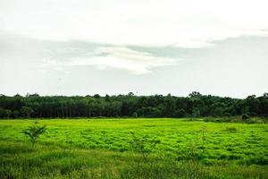 naturlig av grön fält med vit moln på himmel bakgrund med kopia Plats. foto