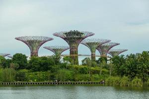 singapore, thailand, 2022 -trädgårdar förbi de bukt foto