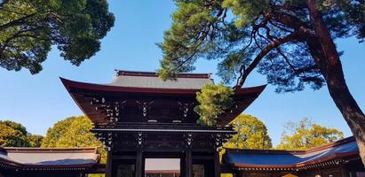 japan på april 2019. turister från Asien, Indien, Amerika och Europa är besöker meiji tempel. foto