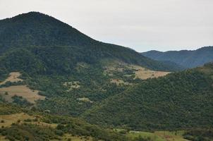 fragment av de bergig terräng i de karpaterna, ukraina. de skog är förlåten förbi de lättnader av de karpater bergen foto