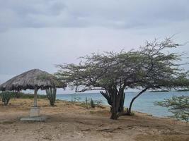 Fantastisk landskap av aruba visningar av de aruba ö foto