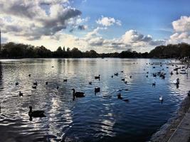 en vy av några fåglar på en sjö i london foto