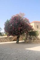 en se av de kyrka av förvandling i Israel foto