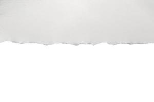 vit rev papper trasig kanter remsor isolerat på vit bakgrund foto