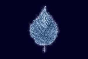 ett frysta isig al träd blad isolerat på mörk blå bakgrund, blå is täckt effekt på blad foto