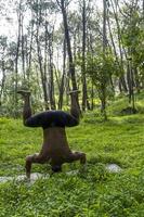 latin amerikan man håller på med yoga hållning, yoga hållning, bi bakåt prsthatah brahmara, skog foto