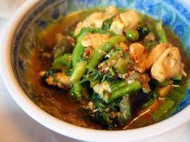 nordlig stil kyckling kryddad soppa med grönsaker, gaeng kair inthai foto
