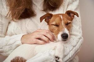 hund sömn på kvinna händer. sällskapsdjur vård begrepp foto
