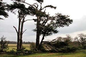 en se av de shropshire landsbygden på attingham nära shrewsbury. foto