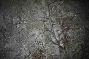 närbild av smuts på väg. textur av våt asfalt. foto