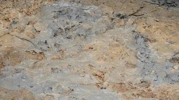 cement jord var färgade på de jord. orsak avsky med våt områden. foto