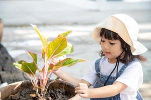 söt asiatisk liten flicka plantering de träd i de pott med lycka ögonblick, de begrepp av inlärning aktivitet, homeschool och grundläggande liv skicklighet för unge utveckling. foto