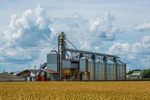 agro silos spannmålsmagasin hiss med frön rengöring linje på jordbruksbearbetning tillverkning växt för bearbetning torkning rengöring och lagring av jordbruks Produkter i råg majs eller vete fält foto