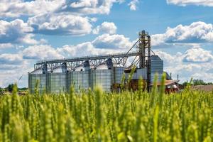 silos och jordbruksbearbetning växt för bearbetning och silos för torkning rengöring och lagring av jordbruks Produkter, mjöl, spannmål och spannmål foto