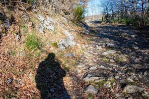 skugga av person på skog väg foto