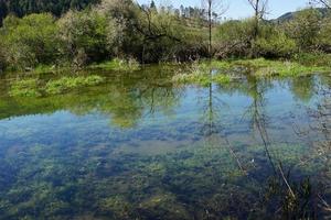 floden Donau vid Tuttlingen foto