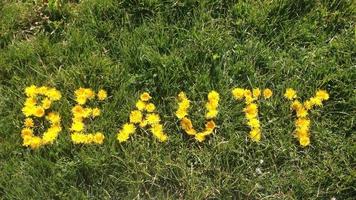 ordet skönhet gjord av gula blommor foto