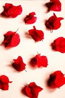röda kronbladiga blommor