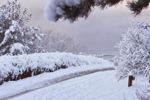 snöigt naturskönt landskap foto